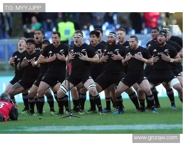 新西兰全黑队的传奇征程与橄榄球世界的无敌荣耀